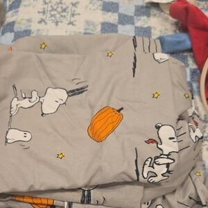 Peanuts Gray and Orange Bedding Sheets